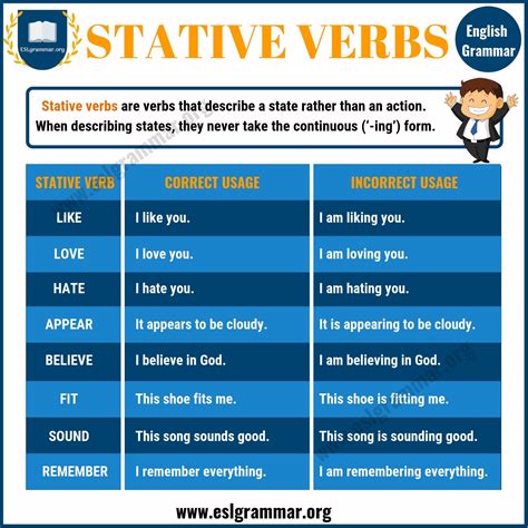 stative verb definition and examples
