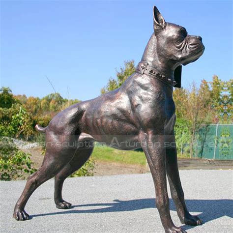 Statuesque Dog Breed