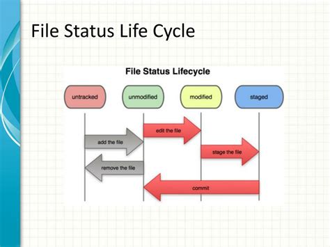 Status About Life Cycle
