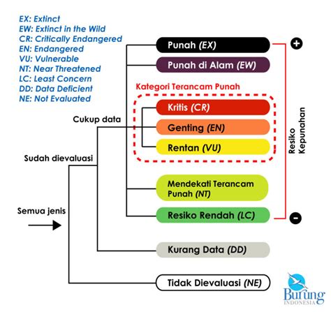 status konservasi spesies pdf