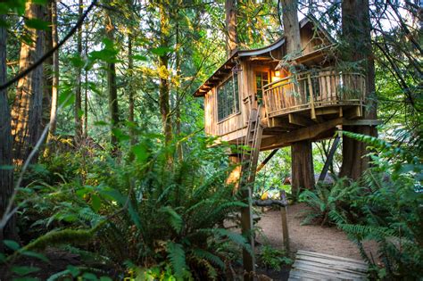 Staying In A Treehouse