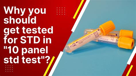 std blood testing panel
