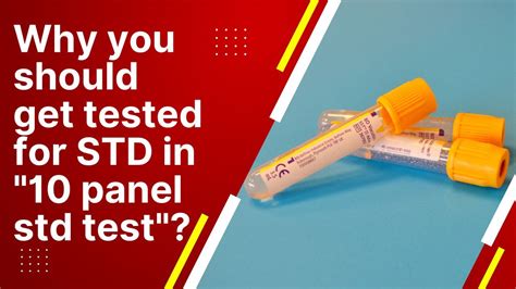 std panel test includes