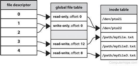Stdin File Descriptor Linux