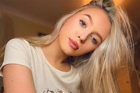 Domelipa Theme 710 Exclusive Access: 2026 Content