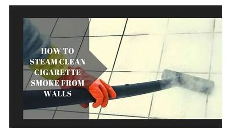 What Is The Best Steam Cleaner For Walls Top 5