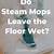 steam mop leaves floor wet