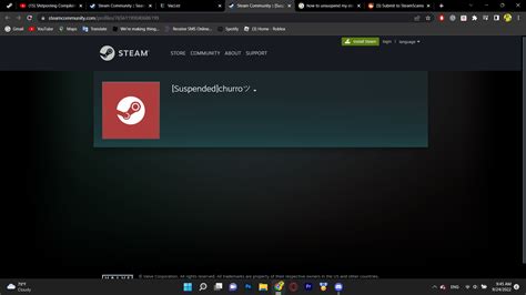 steam account found inactive
