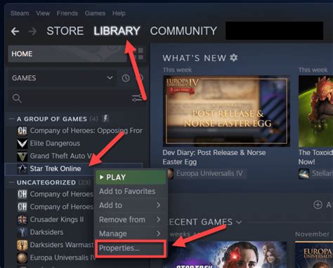 Steam Game Properties