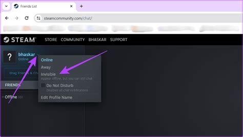 Steam Invisible Mode