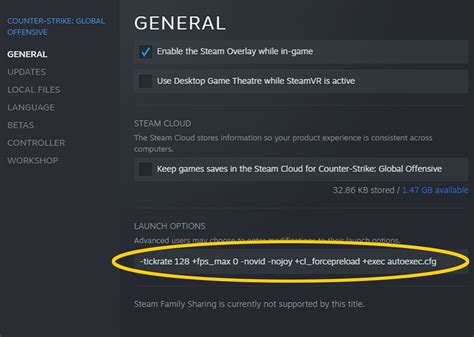 steam max fps launch option