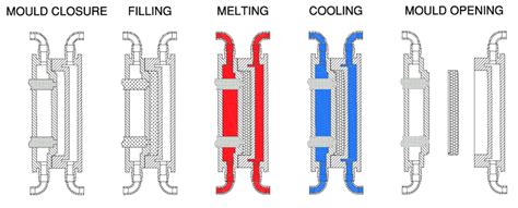 Steam Molding