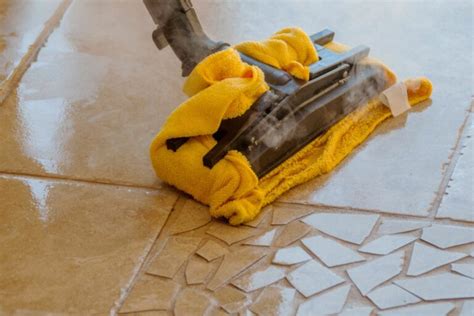 Steam Mop Damage Grout