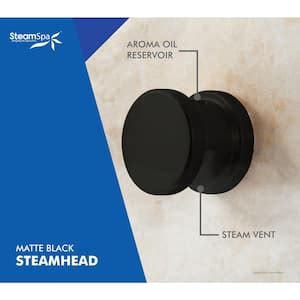 Steam Shower Heads