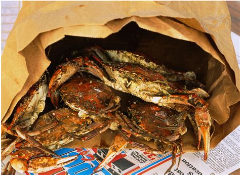 steamed crabs in baltimore
