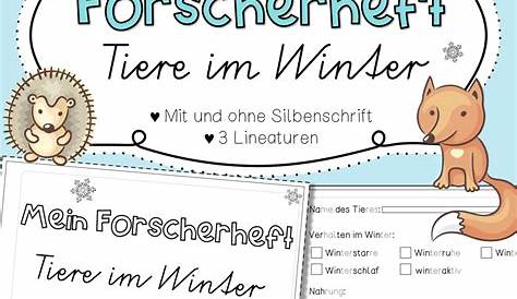 Steckbrief Tiere Im Winter Arbeitsblätter - Carl Winslow Grundschule