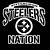 steelers nation logo