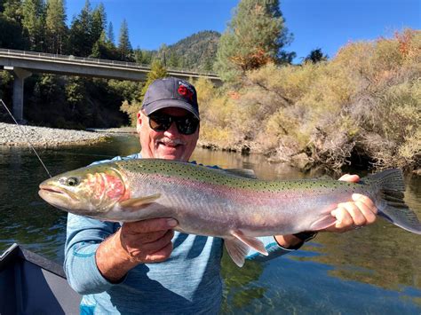 steelhead fishing california rivers