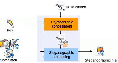 steganography vs. encoding