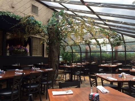 Unveiling the Enchantment of Stella Notte: A Celestial Night Experience