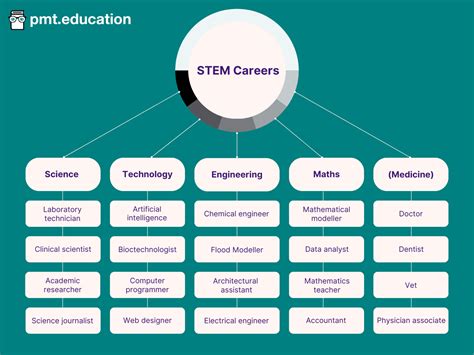 Unlocking Future Potential: Exploring In-Demand Stem Careers Today