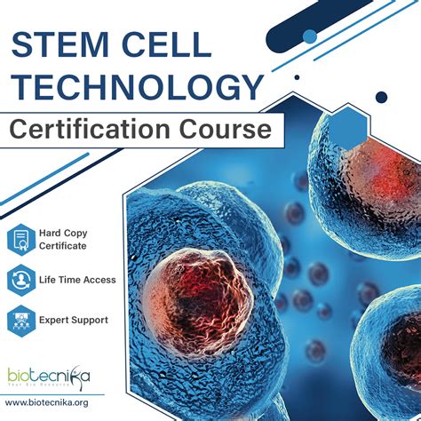stem cell technologies 07903