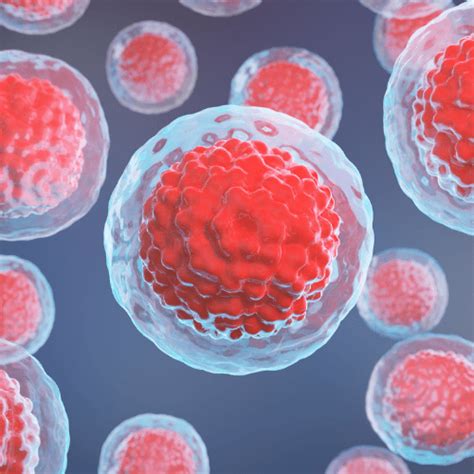 Exploring Stem Cell Therapy Options in Boca Raton