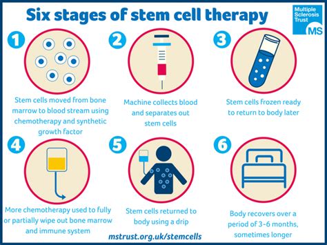 stem cell therapy steps