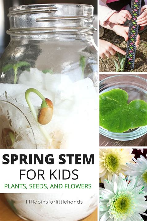 Stem Ideas For Spring