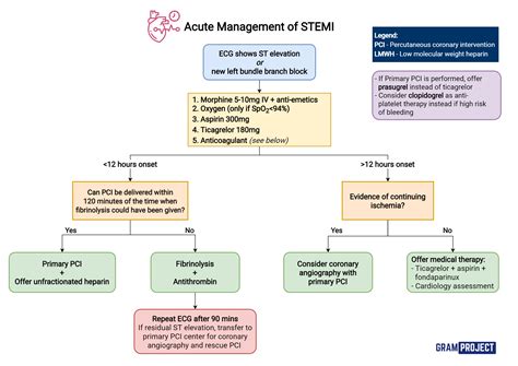 STEMI Care Plan Guide