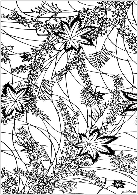 Stencil Design For Coloring