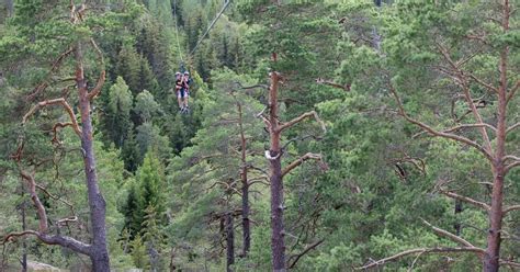 Steneby Gard Activities