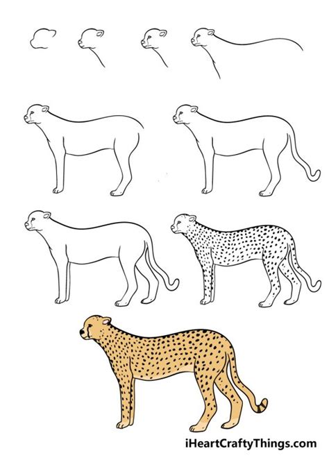 How to Draw a Cartoon Cheetah printable step by step