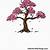 step by step how to draw a cherry blossom tree