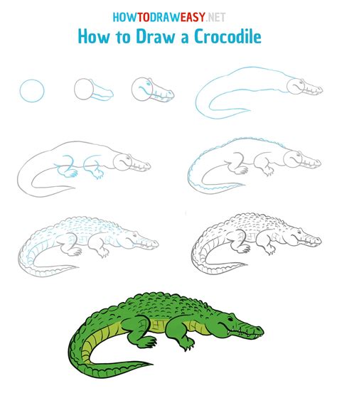 Step By Step How To Draw A Crocodile