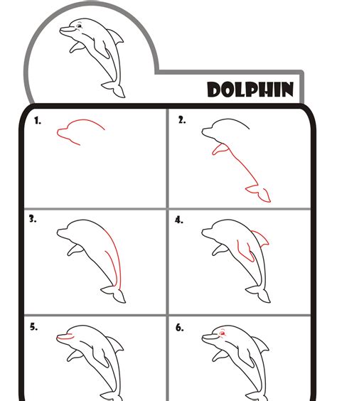 How to Draw a Dolphin Step by Step EasyLineDrawing