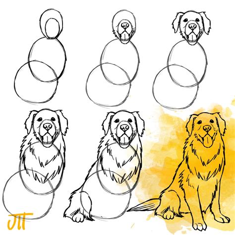 How to Draw a Golden Retriever Step by Step Easy Drawing