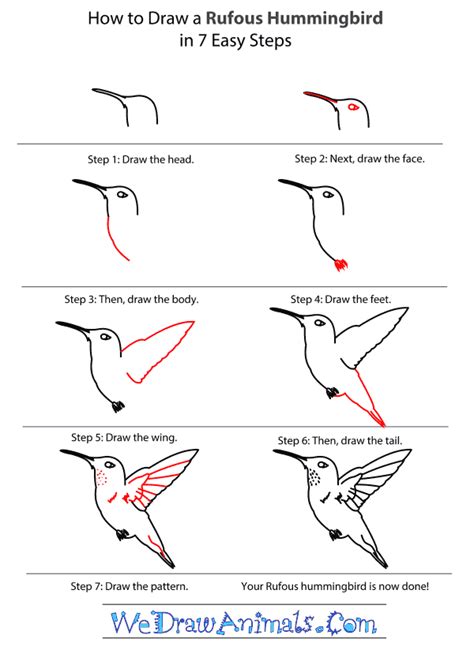 BIRD SKETCHING TUTORIALS