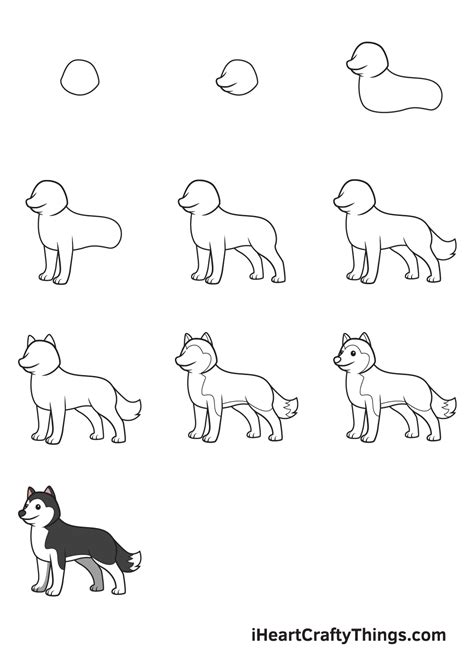 How to draw a husky