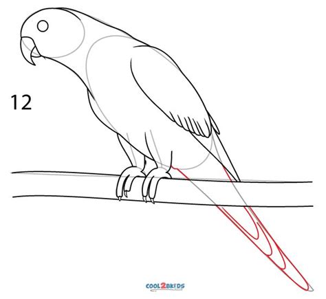 How to Draw a Bird Cool2bKids