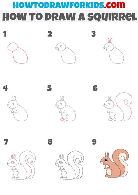 How to Draw a Cute Squirrel