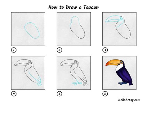 How to Draw a Toucan Really Easy Drawing Tutorial