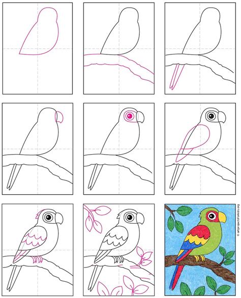 How to Draw a Macaw Parrot for Kids printable step by step
