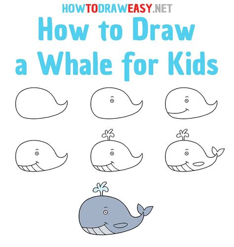 How to Draw a Beluga Whale