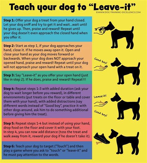 step by step dog training guide