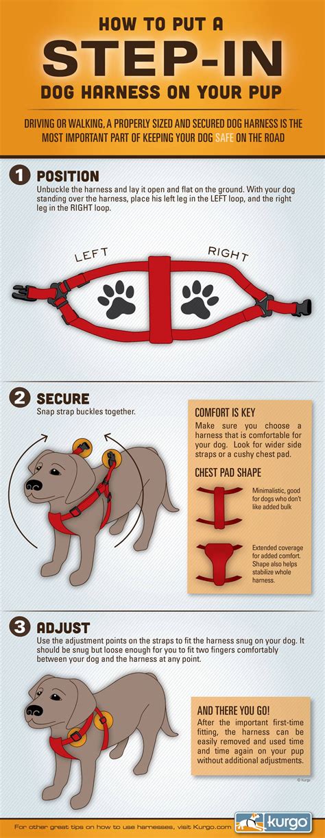 Step In Dog Harness Instructions