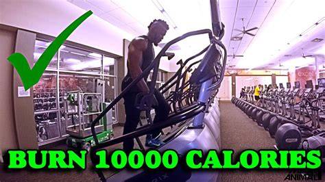 Best Exercise Equipment for Seniors Reviewed in 2022! GGB
