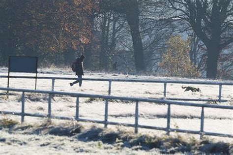 stephen collins today