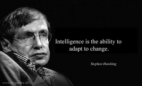 stephen hawking quote about iq