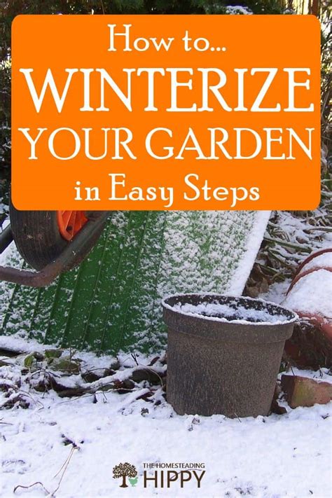 Winter Garden Winter garden, Hedging plants, Topiary garden